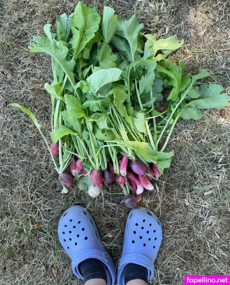 Reneealeja OnlyFans Thumbnail #7qgyVIN8aD