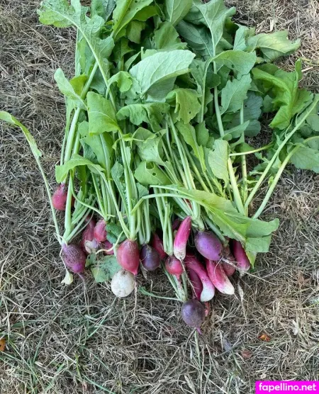 Reneealeja OnlyFans Thumbnail #A3bAOTeZwf