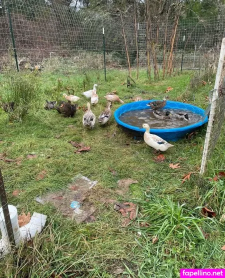 Reneealeja OnlyFans Thumbnail #OCbgGwxSsG