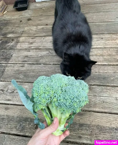 Reneealeja OnlyFans Thumbnail #OK8nC7LHiB