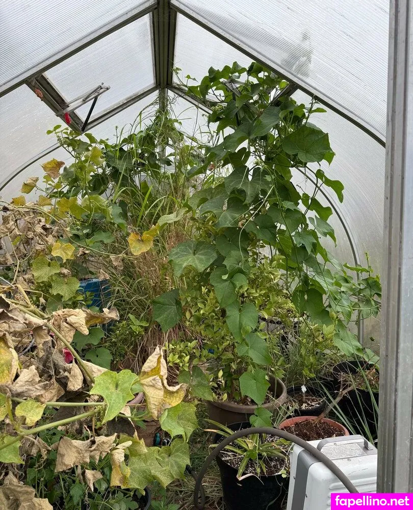 reneealeja Nude Leaked OnlyFans Photo #T2hVjhfn4d