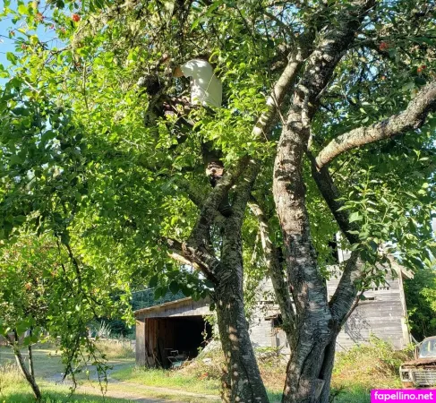 Reneealeja OnlyFans Thumbnail #bjU3gZ5oWl