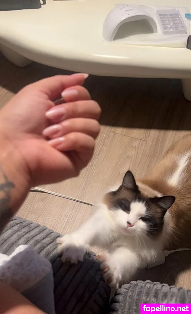 renessuhh Nude Leaked OnlyFans Photo #7DFKZ29KN9