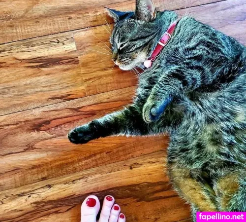 Rhapsody Blue OnlyFans Thumbnail #1Aad2bV5JL