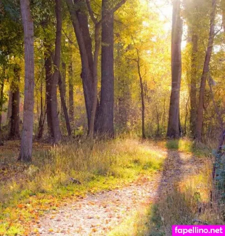 Rhynn Hellrig Main Profile Photo