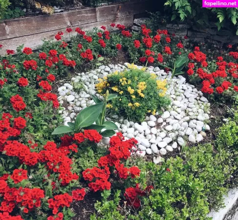 Rianabailey OnlyFans Thumbnail #oM6BJwEOvJ