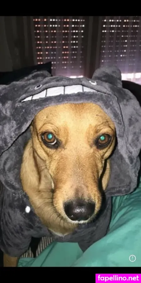 Riannast OnlyFans Thumbnail #Fq0X5okqwY