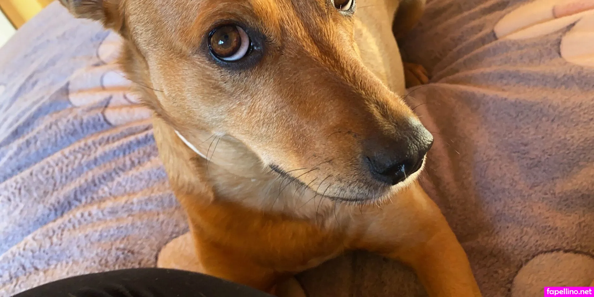 riannast Nude Leaked OnlyFans Photo #bKeQp6agvM