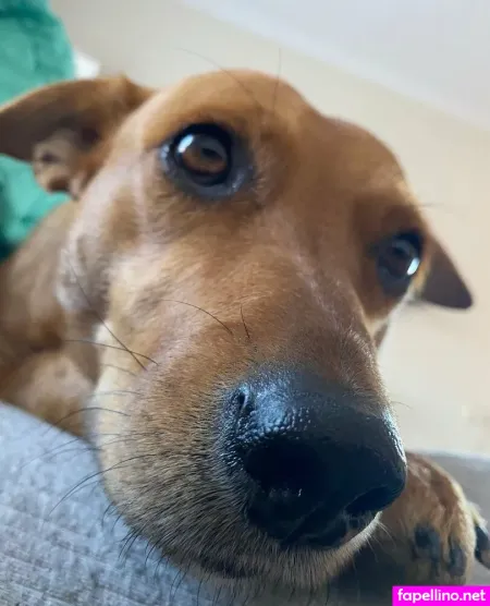 Riannast OnlyFans Thumbnail #q6pGkYADaK