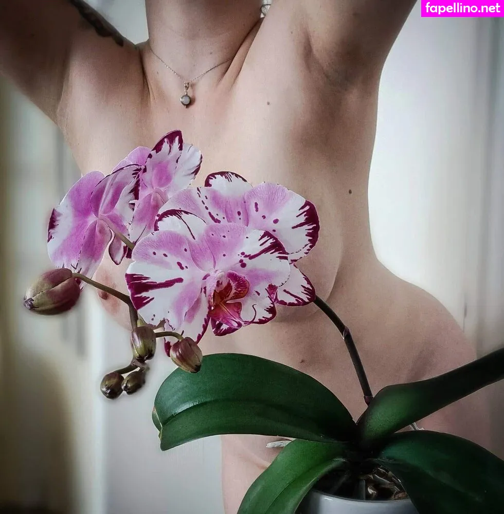 rich_security Nude Leaked OnlyFans Photo #hblkXX9TsS
