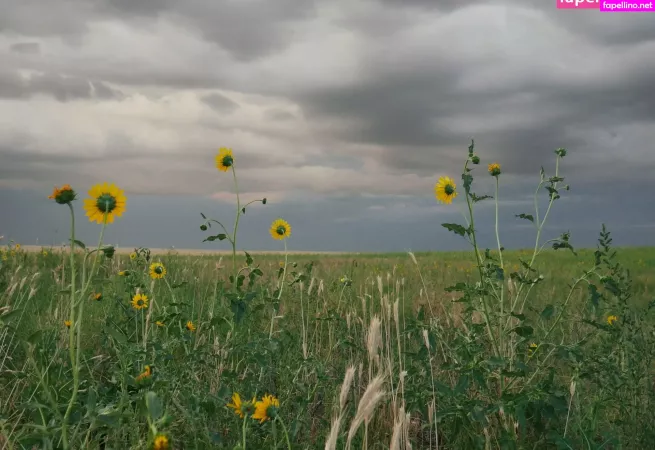 Ridewithlola X OnlyFans Thumbnail #4jTQMshjH4