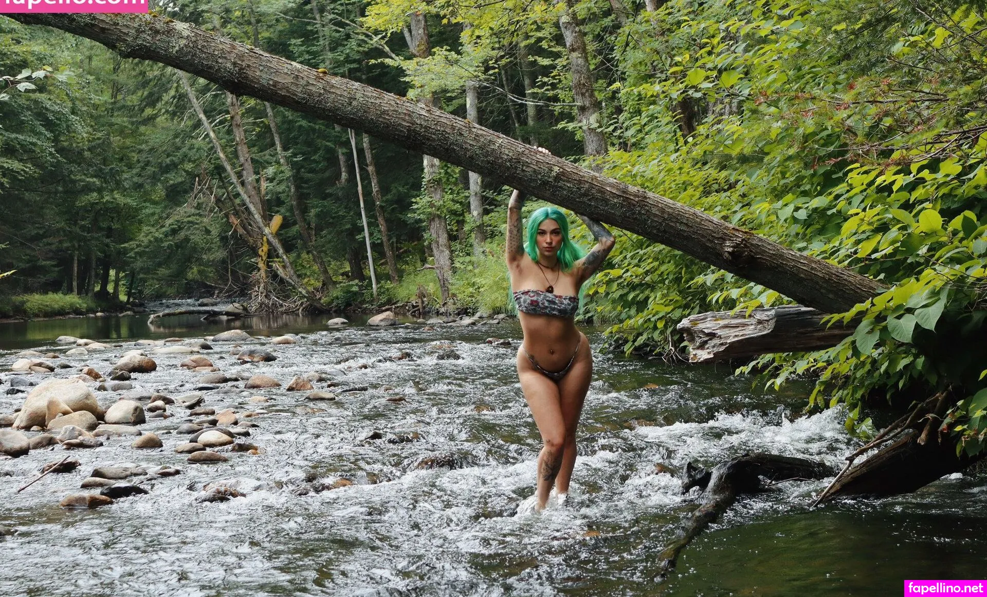 RinaKitty, rinakitty19, xrinaxkittenx, xrinaxkittyx Nude Leaked OnlyFans Photo #nXrrKl3hD7