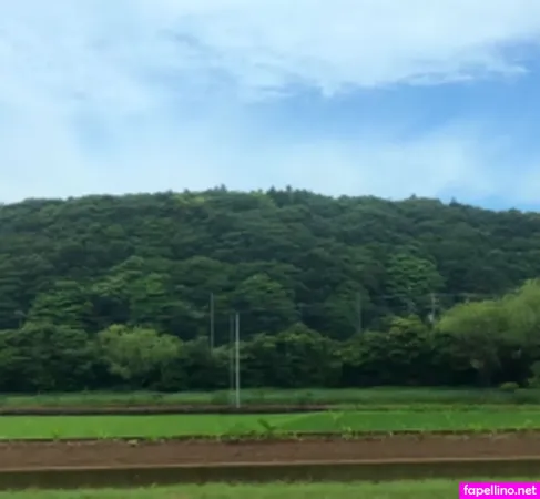 Rio Fujisawa Main Profile Photo