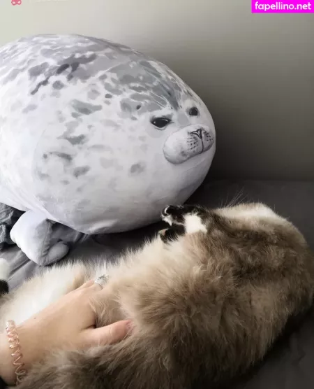 Rocketpocket OnlyFans Thumbnail #HmahU8mONd