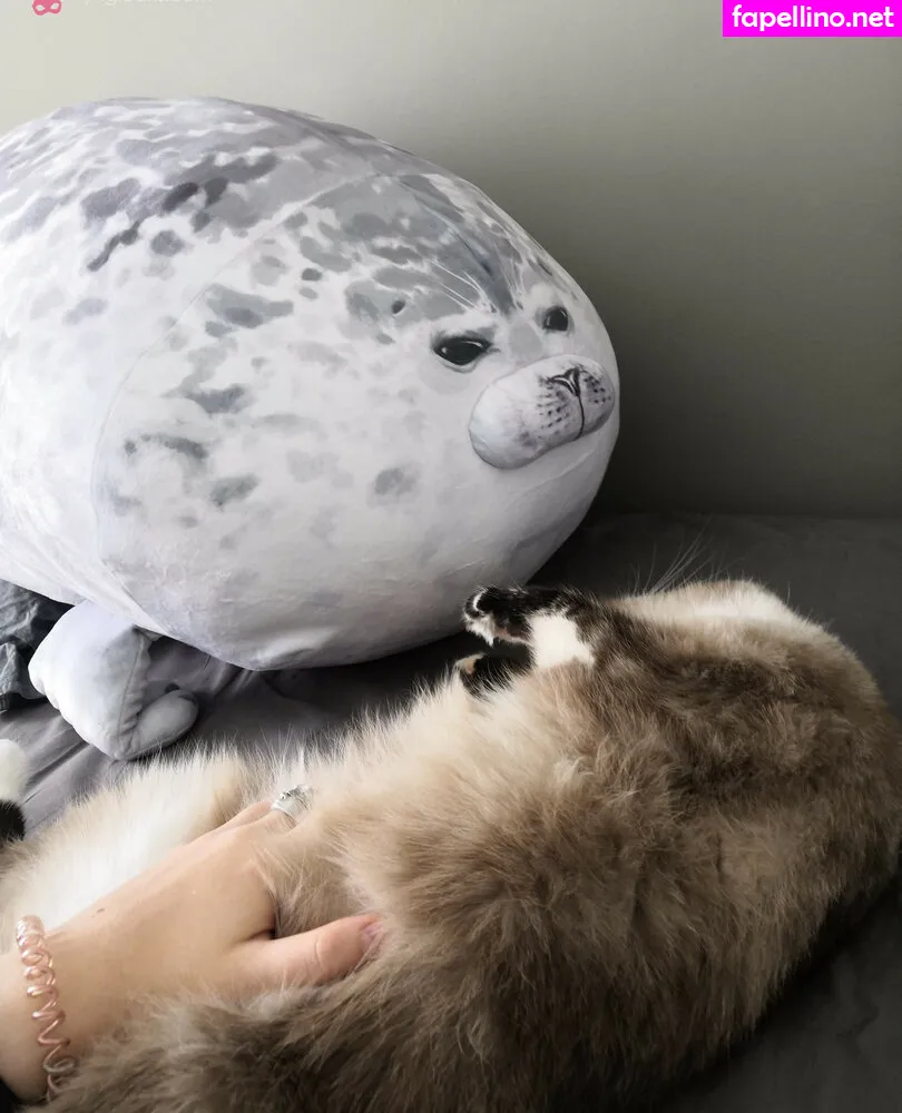 Pocketrocket_, rocket_pocket_co, rocketpocket Nude Leaked OnlyFans Photo #HmahU8mONd