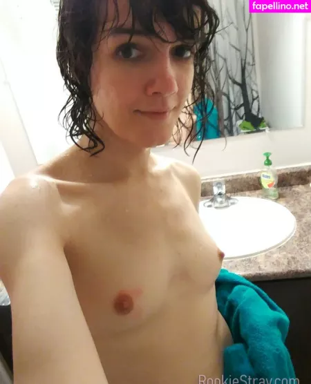 Rookiestray OnlyFans Thumbnail #SL82758iaj