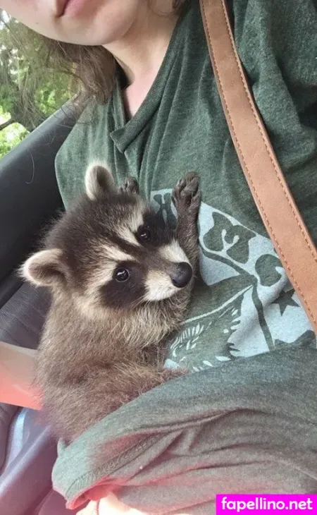 Rose Castella OnlyFans Thumbnail #Uvrmw5Ezun