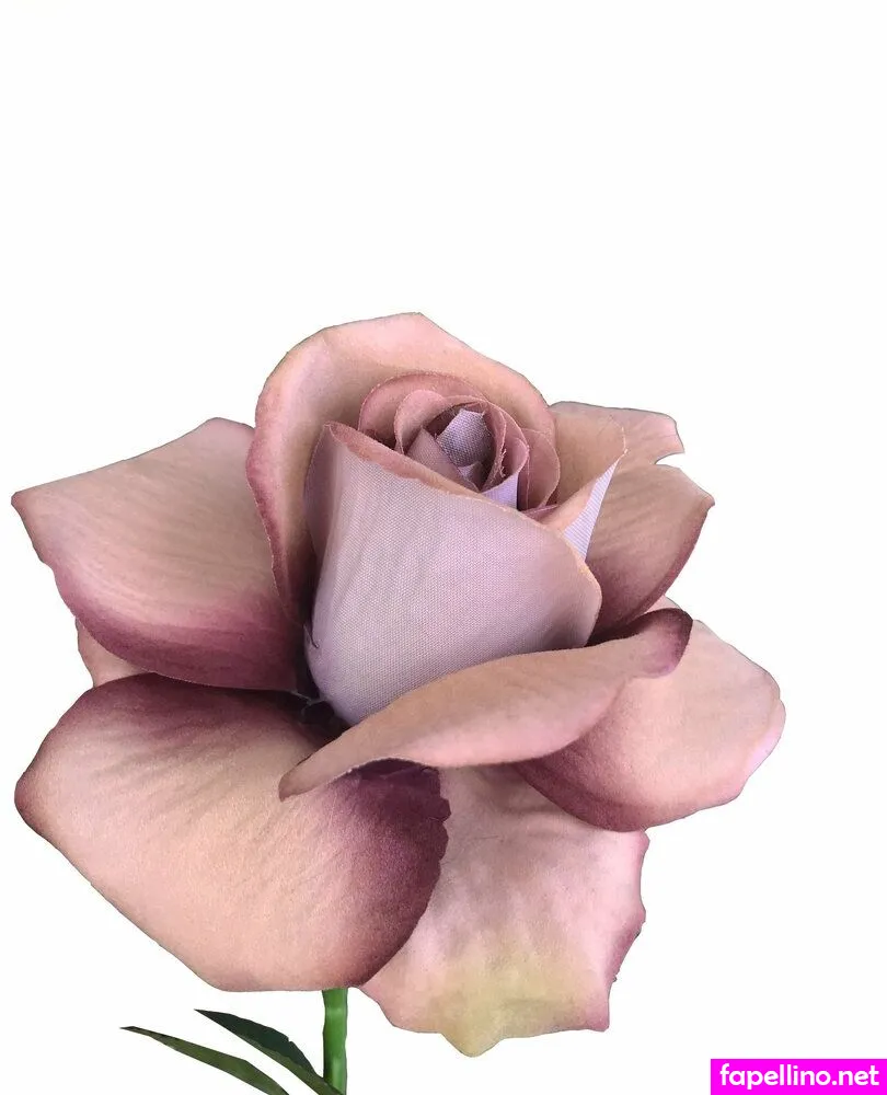 Rose Wild Nude Leaked OnlyFans Photo #Ot80auteXE