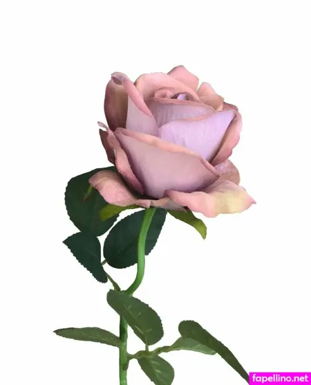 Rose Wild OnlyFans Thumbnail #vrpUG9JPJh