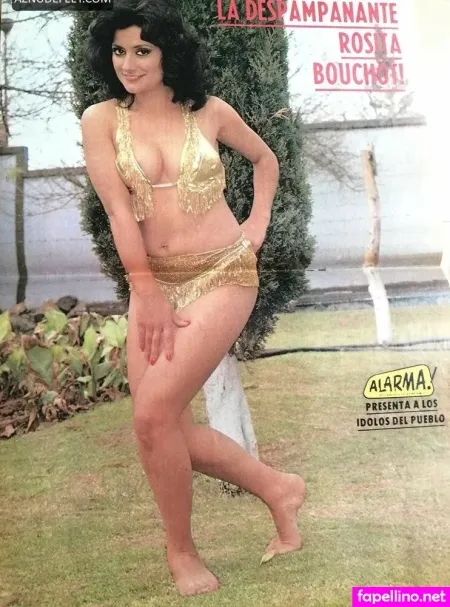 Rosita Bouchot Main Profile Photo