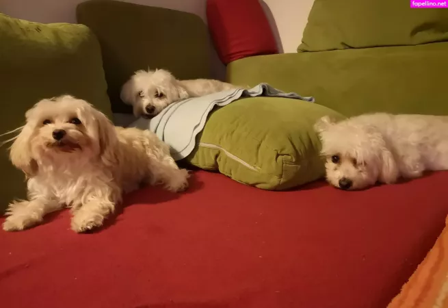 Rosszalkodjunk OnlyFans Thumbnail #NN4rItru3t