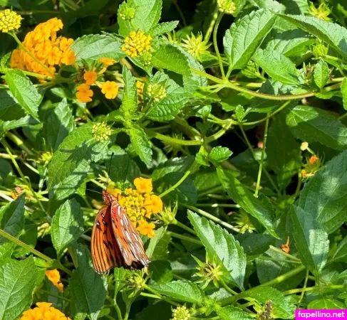 Ruby Peach OnlyFans Thumbnail #JPyMeU4d3A