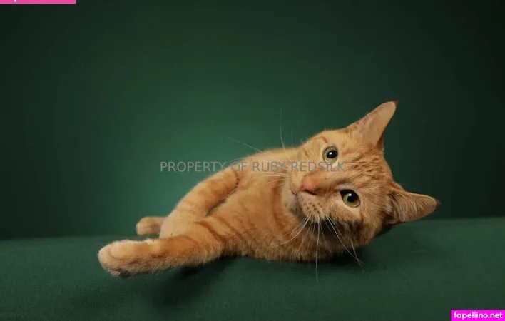 Rubysilkfree OnlyFans Thumbnail #nIxYTm1bwC