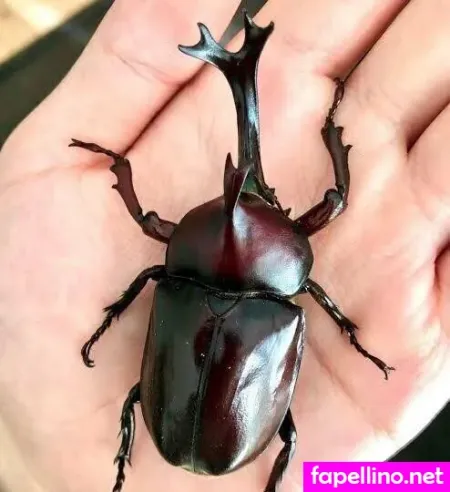 Rugbymermaid OnlyFans Thumbnail #vOwhYXrXn5