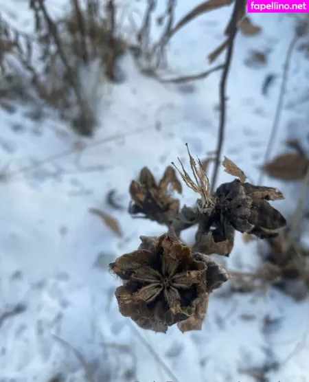 Rukiabrat OnlyFans Thumbnail #f8az89Yltq