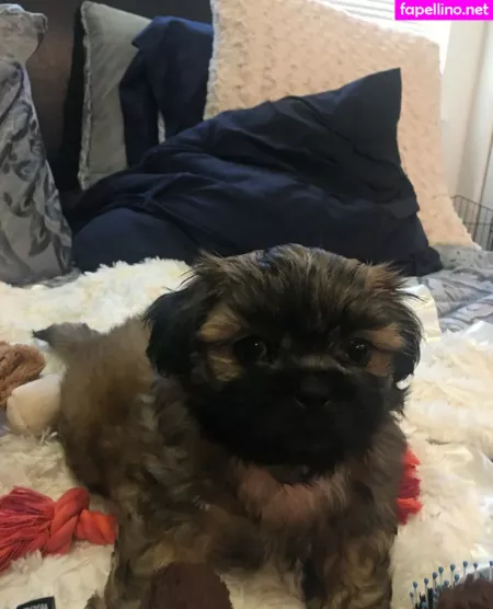 Sablevanell OnlyFans Thumbnail #kJu6GtQeuy