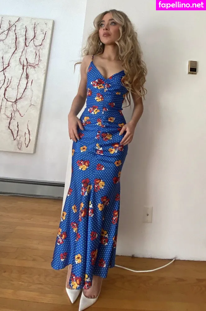 Sabrina Carpenter, sabrinacarpenter Nude Leaked OnlyFans Photo #li8U4x4Y8Q