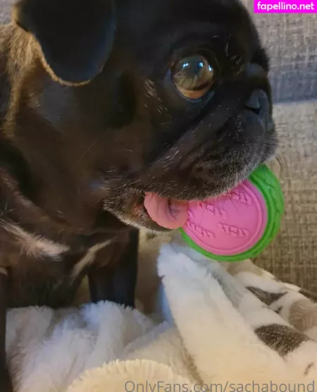 Sachabound OnlyFans Thumbnail #CPDwBwdhCb