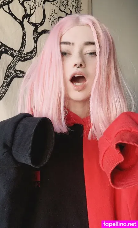 Saekkicofree 4 Main Profile Photo