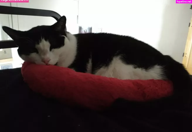 Sagethemuse OnlyFans Thumbnail #eIPLqaqE5W