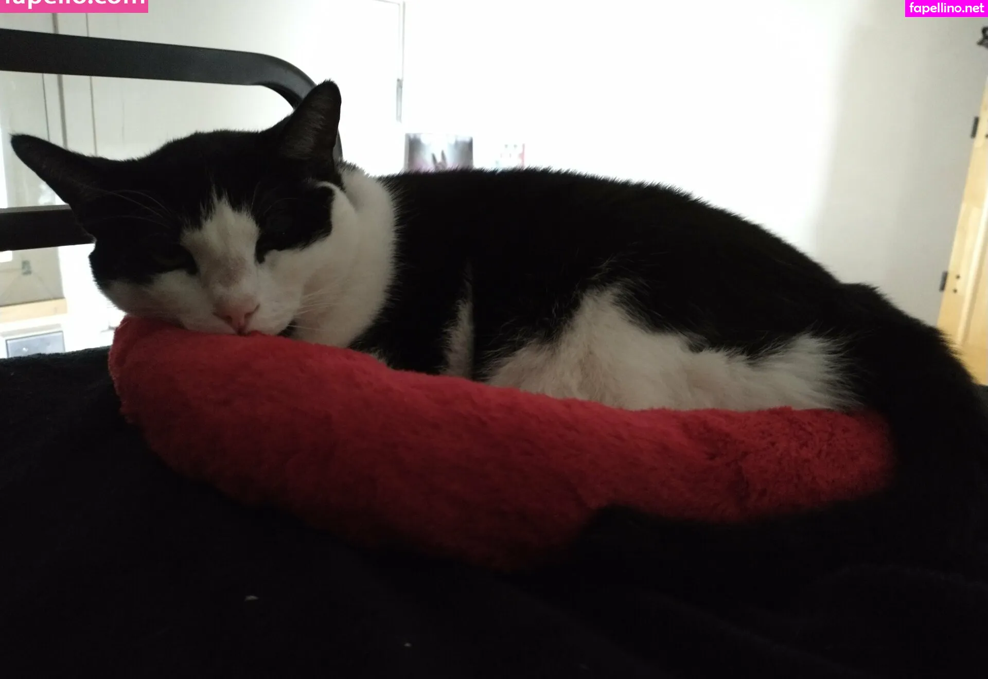 sage.muse, sagethemuse Nude Leaked OnlyFans Photo #eIPLqaqE5W