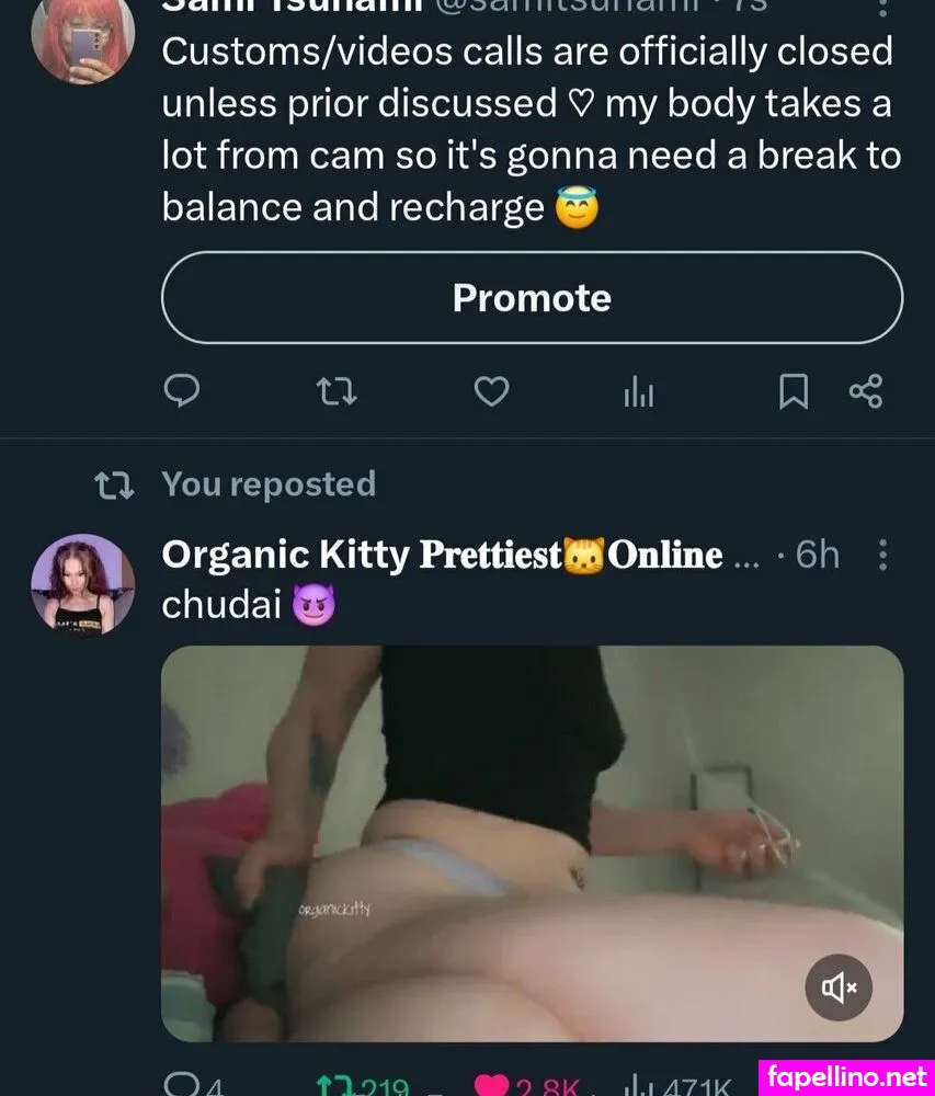 samitsunami, samitsunamidasani Nude Leaked OnlyFans Photo #3QYq5rvsBF