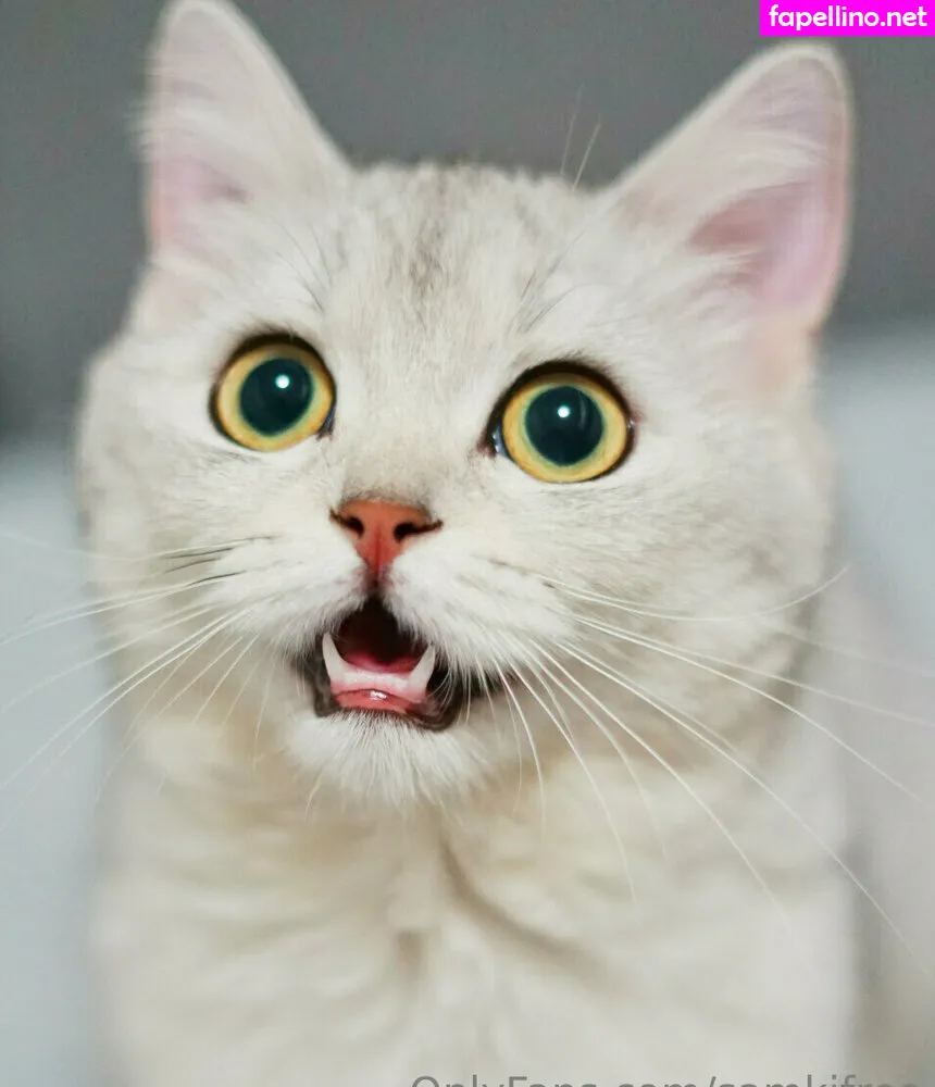 samanthafrree, samkjfree Nude Leaked OnlyFans Photo #GjPRtwpi9i