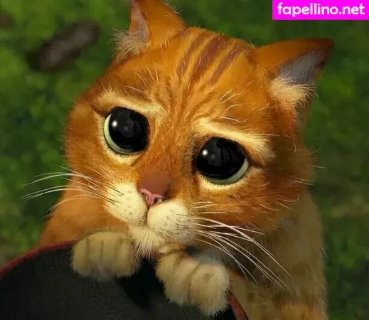 Samkjfree OnlyFans Thumbnail #zEFV1iPhqf