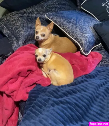 Sammy Eldrups OnlyFans Thumbnail #6zOWxPsKlt