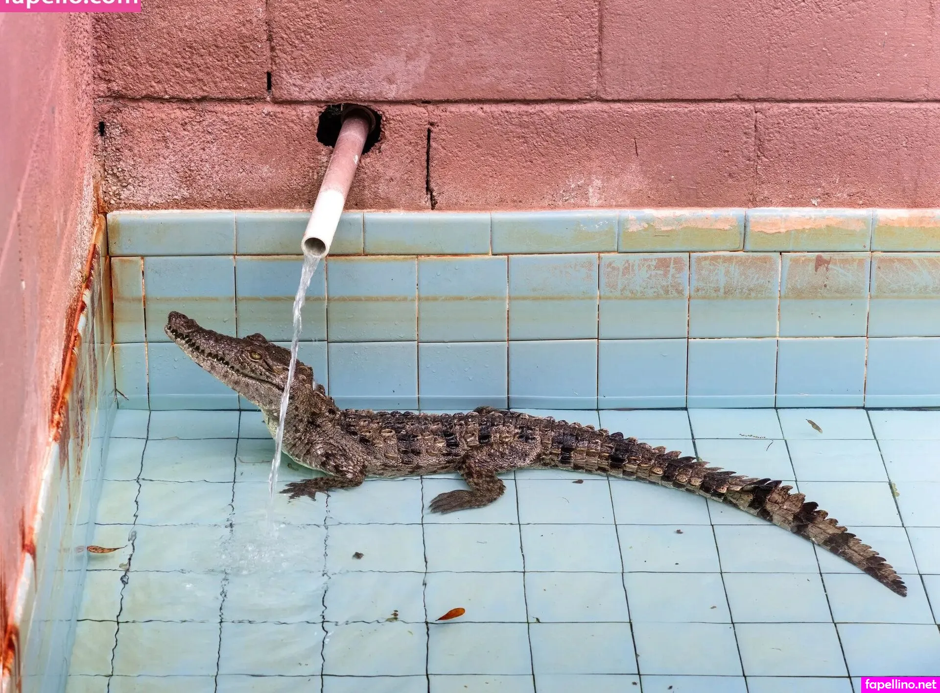 Samoylova Nude Leaked OnlyFans Photo #6gJiVSGY0J