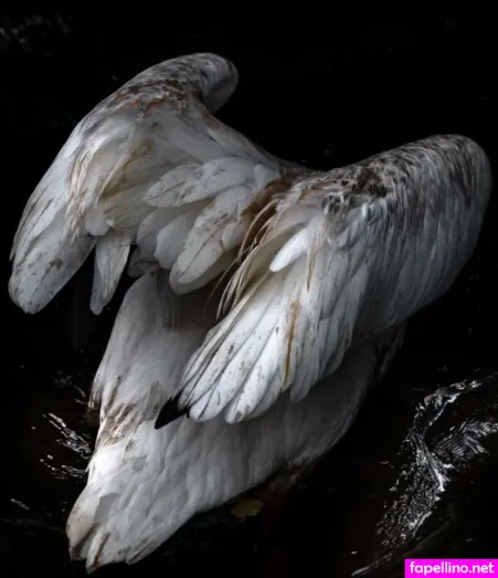 Samoylova OnlyFans Thumbnail #uBZhCGUbVK