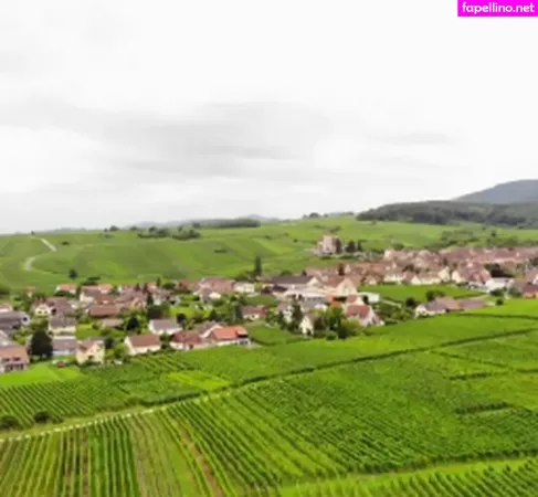 Sandrillon OnlyFans Thumbnail #d4n21NUGSK