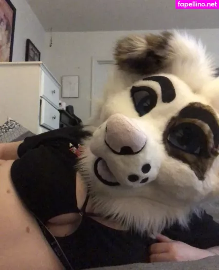 Saoirsemutt OnlyFans Thumbnail #61xsRqYiTh