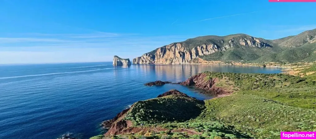 Sardo 87 Main Profile Photo