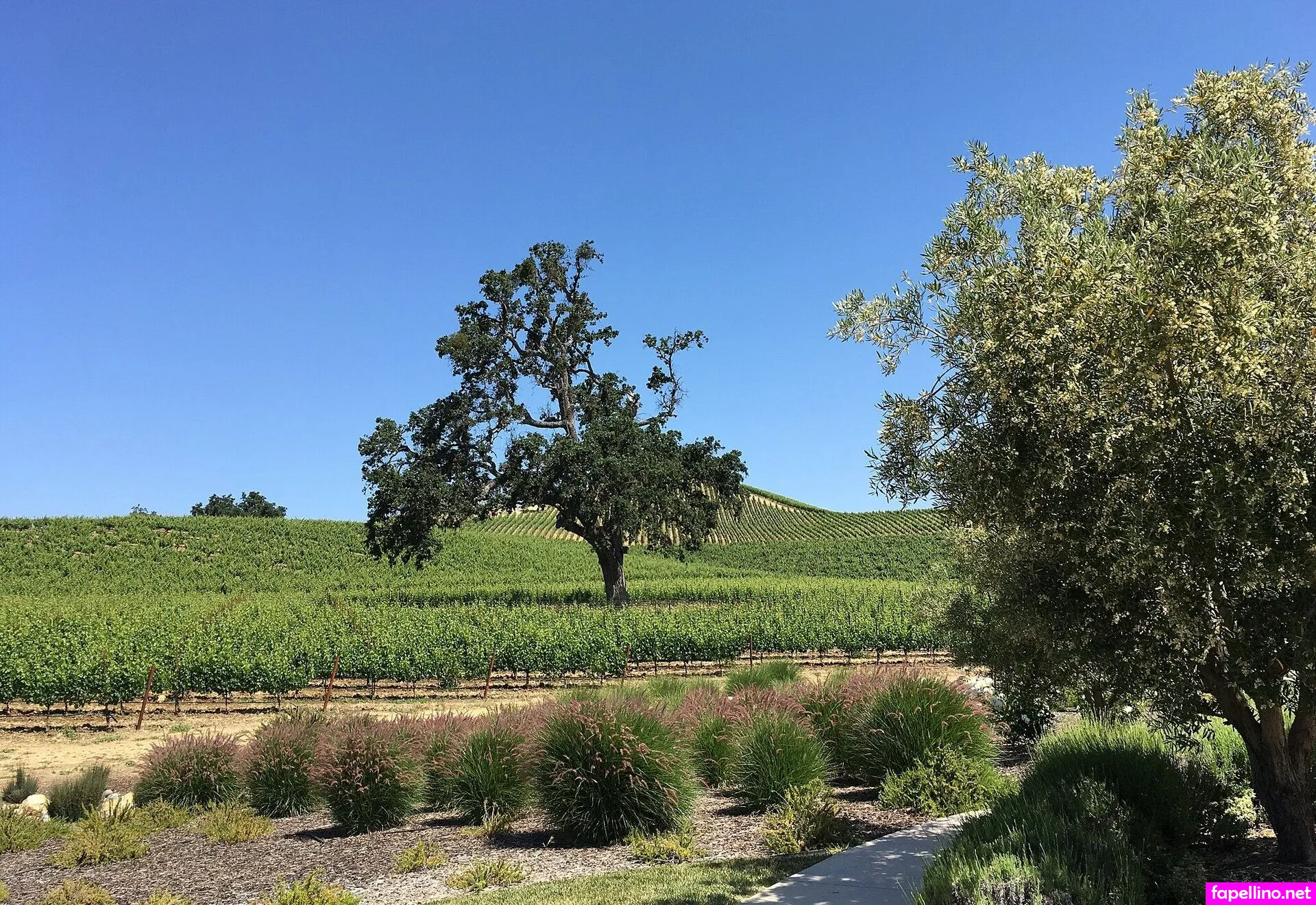 Saren Robles Nude Leaked OnlyFans Photo #zbumTtQ8ug