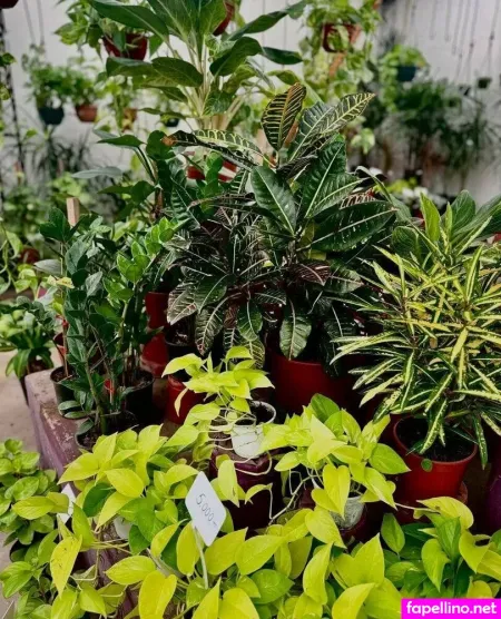 Sarraconnor OnlyFans Thumbnail #3EH0dAADEH