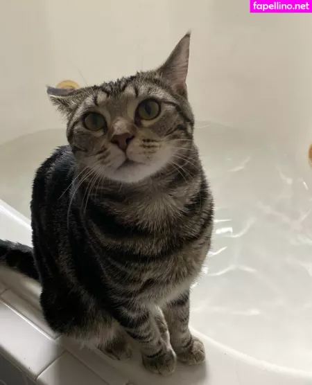 Savanahroses OnlyFans Thumbnail #BZt3Pw6kvG