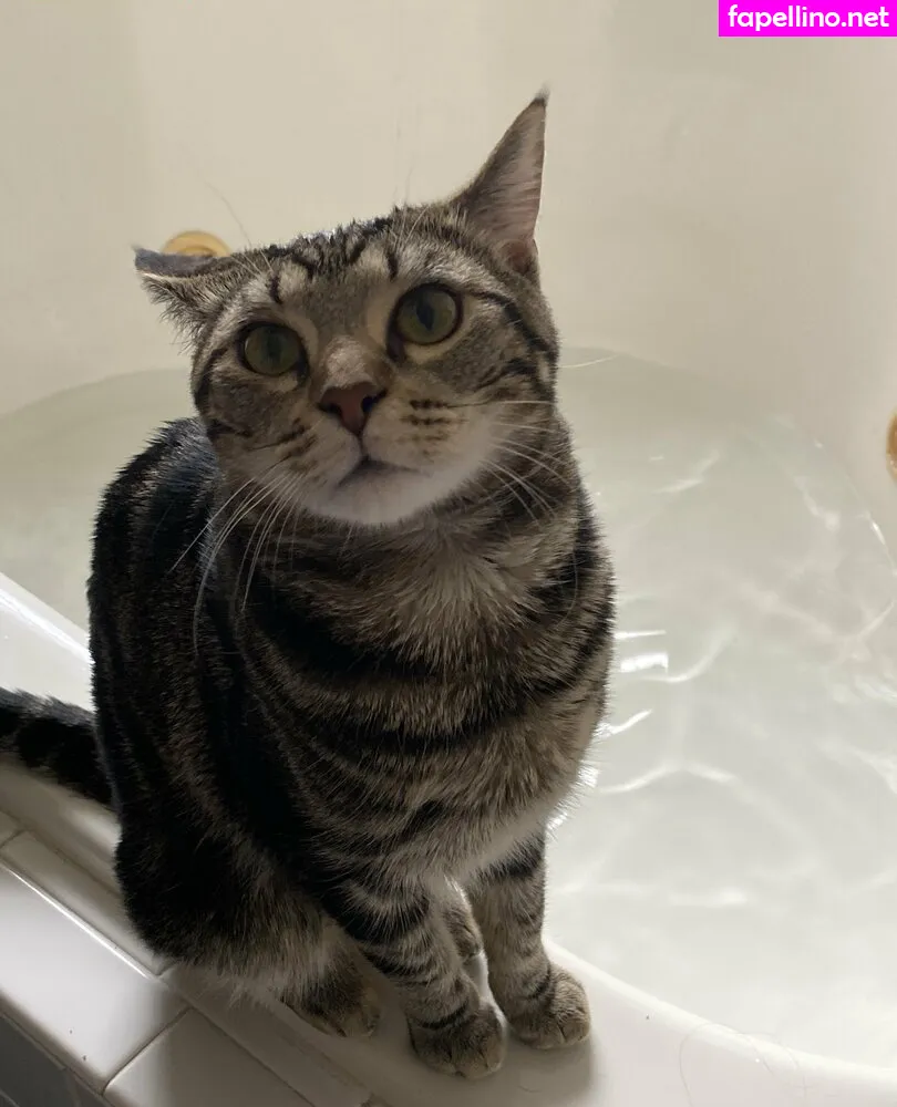 savanahrose, savvy_rose Nude Leaked OnlyFans Photo #BZt3Pw6kvG