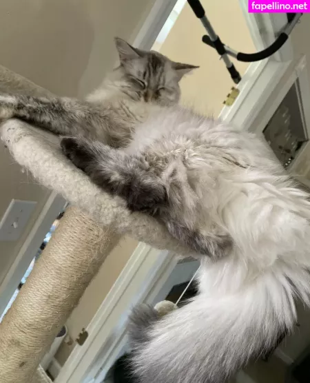 Savanahroses OnlyFans Thumbnail #EDXJf8mNLr