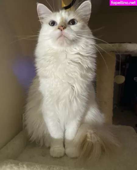 Savanahroses OnlyFans Thumbnail #FYEwzWv14L